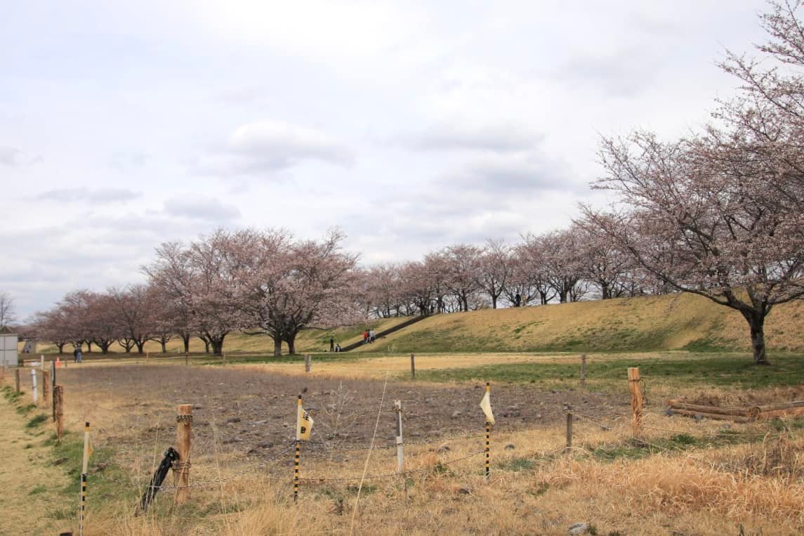 きれいになった第2管理地