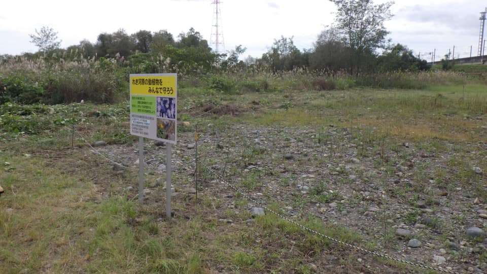 きれいになりました