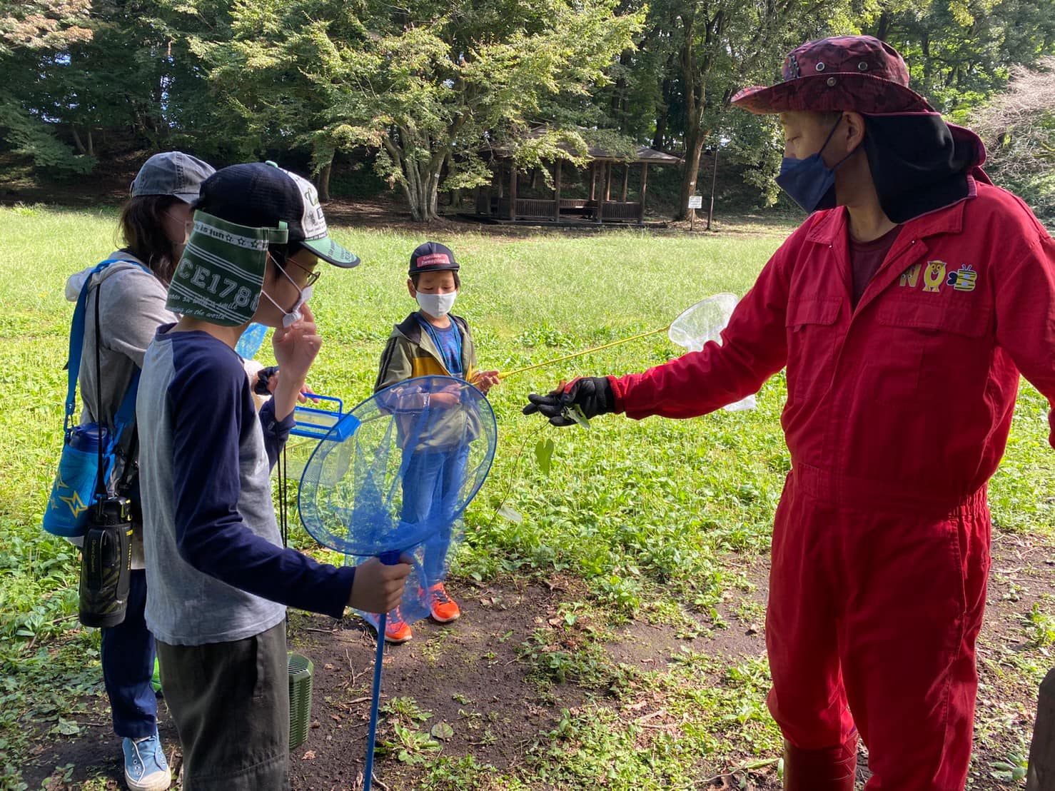 コスズメ（幼虫）がいたよ