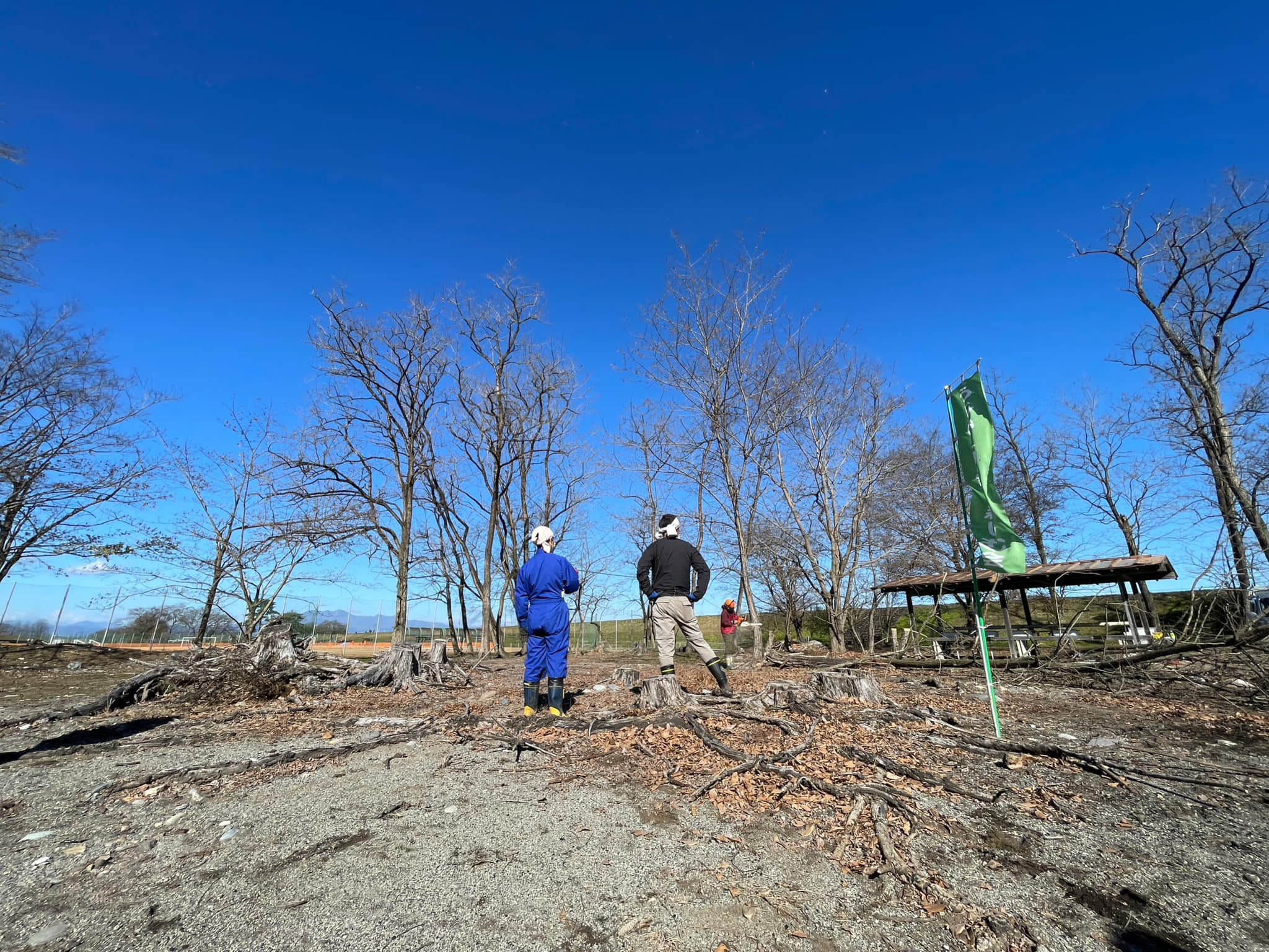 ハリエンジュを倒します