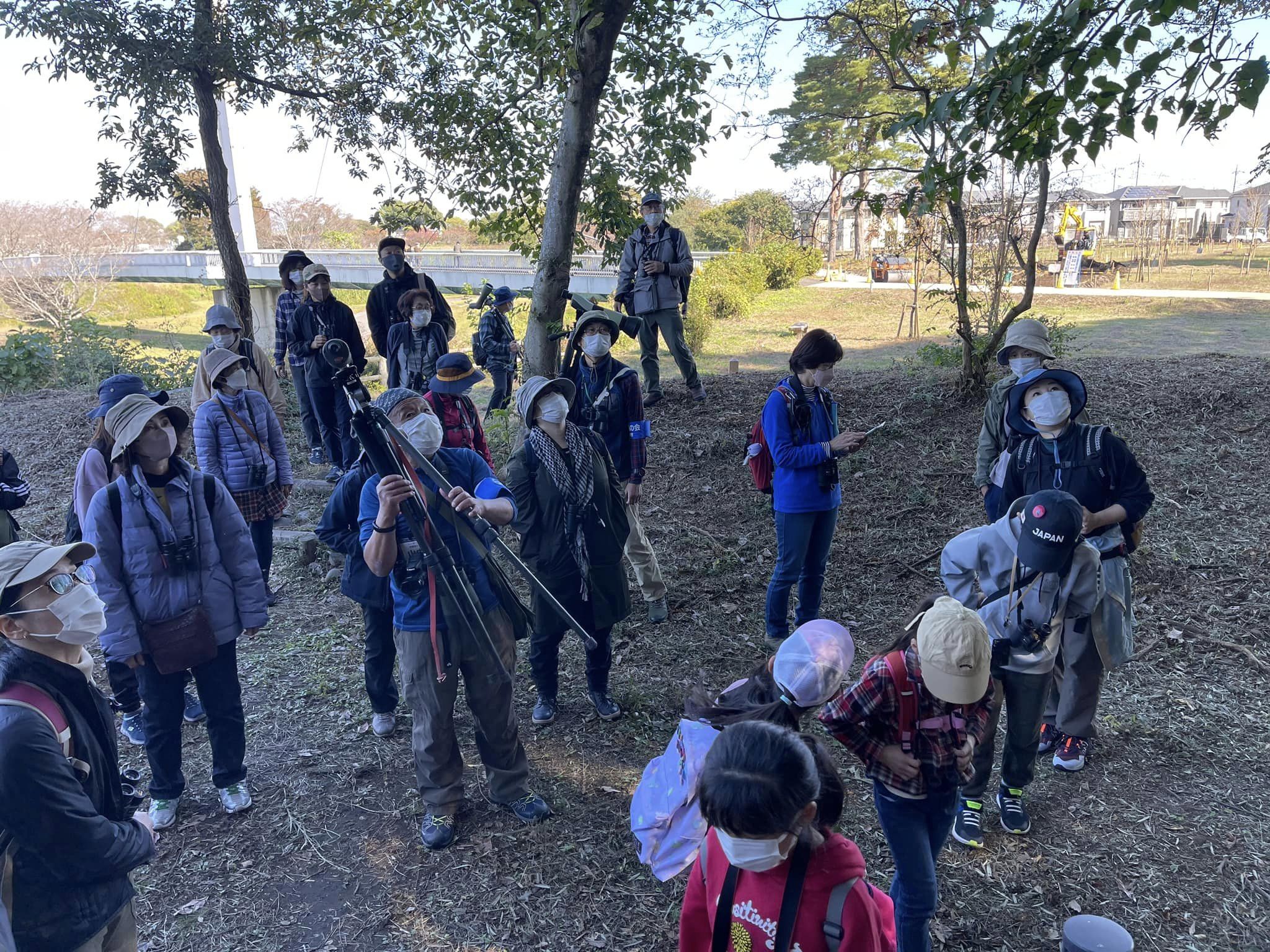 勝山公園ではコゲラを間近で観察