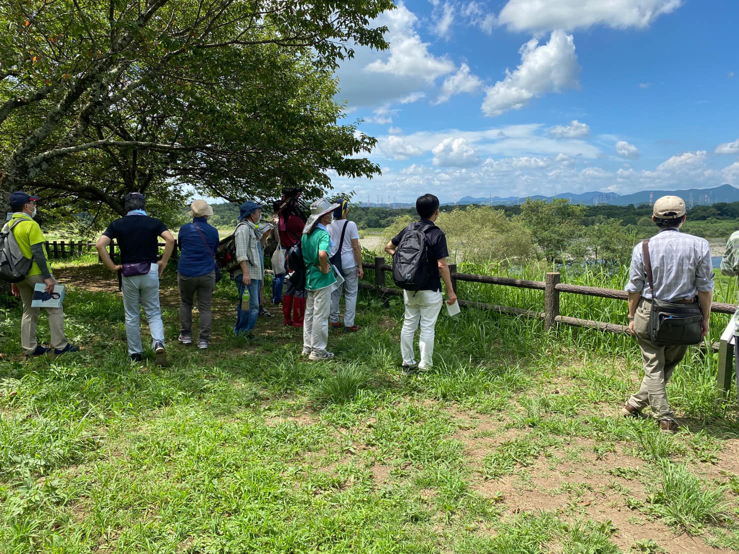勝山城跡からの眺望は最高