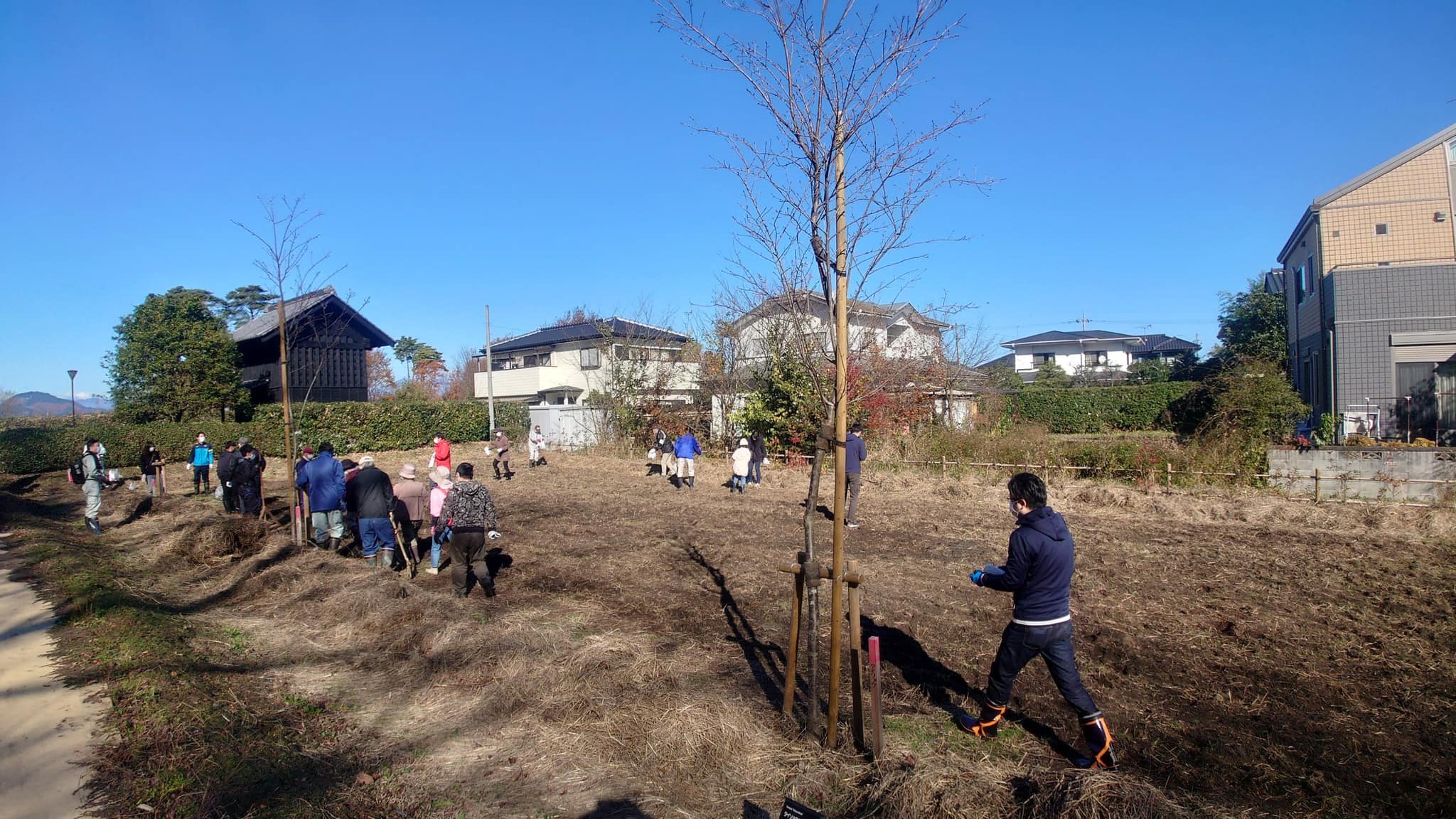 市役所主導での菜の花プロジェクト