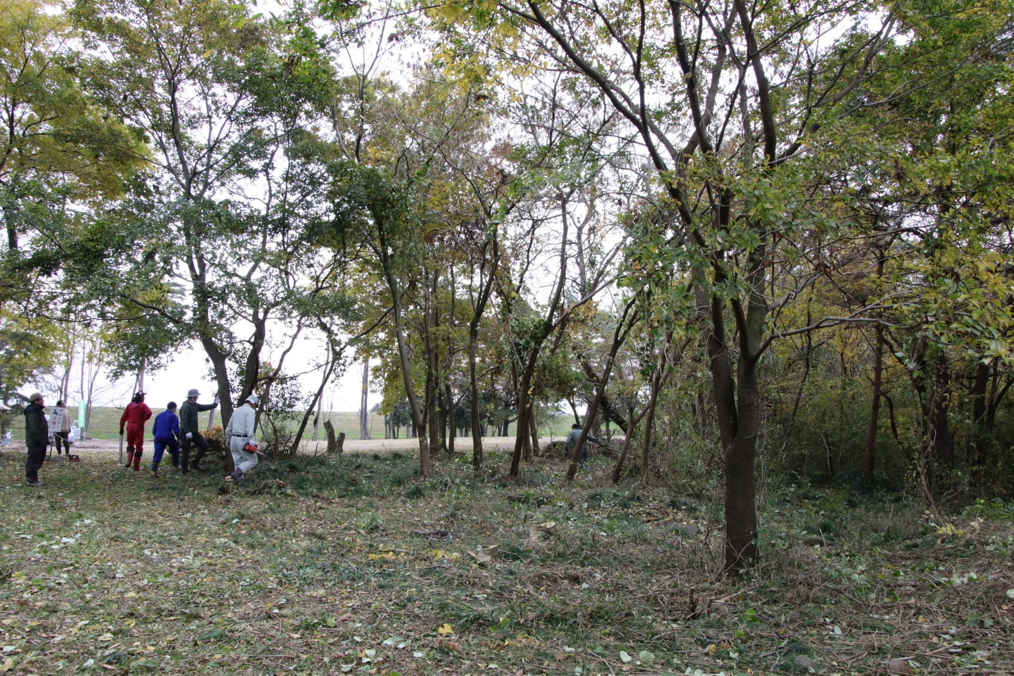 河川敷が見えるようになってきました