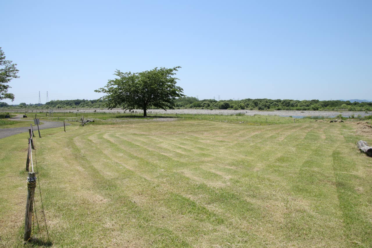 除草が進んだ管理地