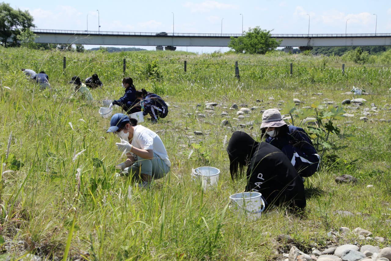 除草作業の様子