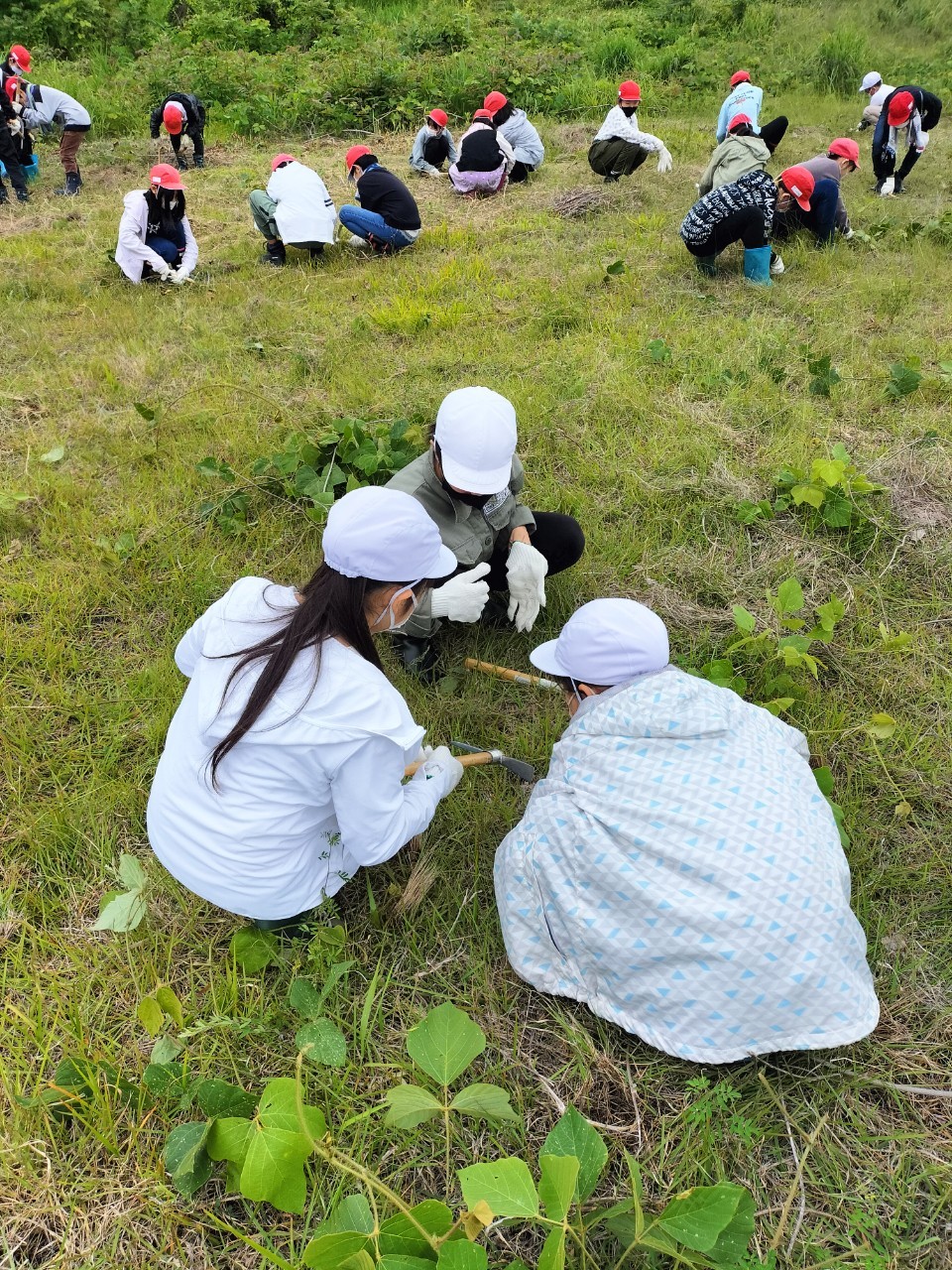 除草作業の様子３