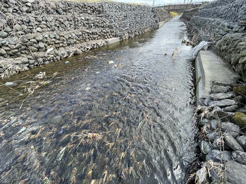 草川用水の下流域の様子