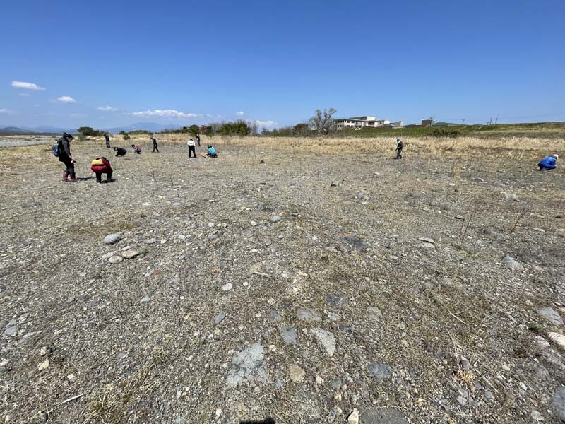 保全地の除草の様子