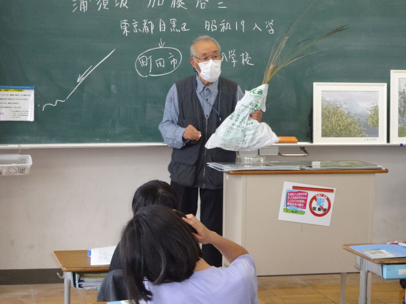 シナダレスズメガヤの説明