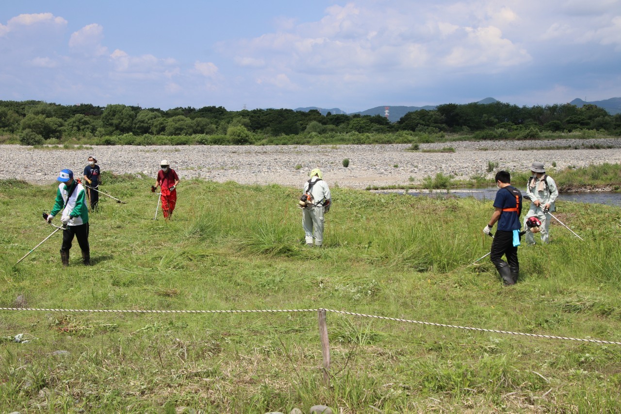 「しなだれバスターズ」による機械除草