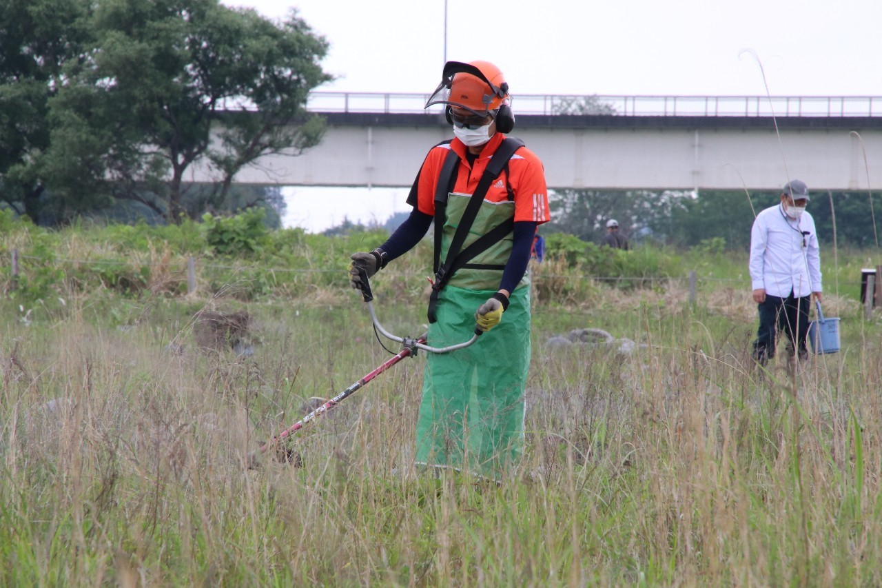 「しなだれバスターズ」による機械除草