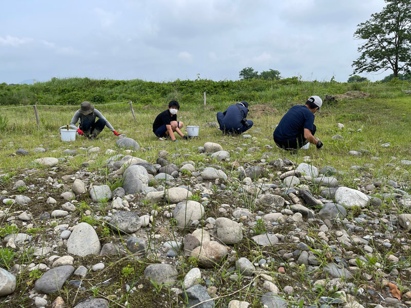 除草作業の様子