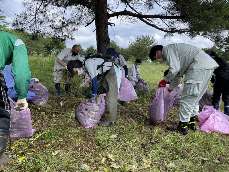ゴミ袋にｵｵｷﾝｹｲｷﾞｸを詰める