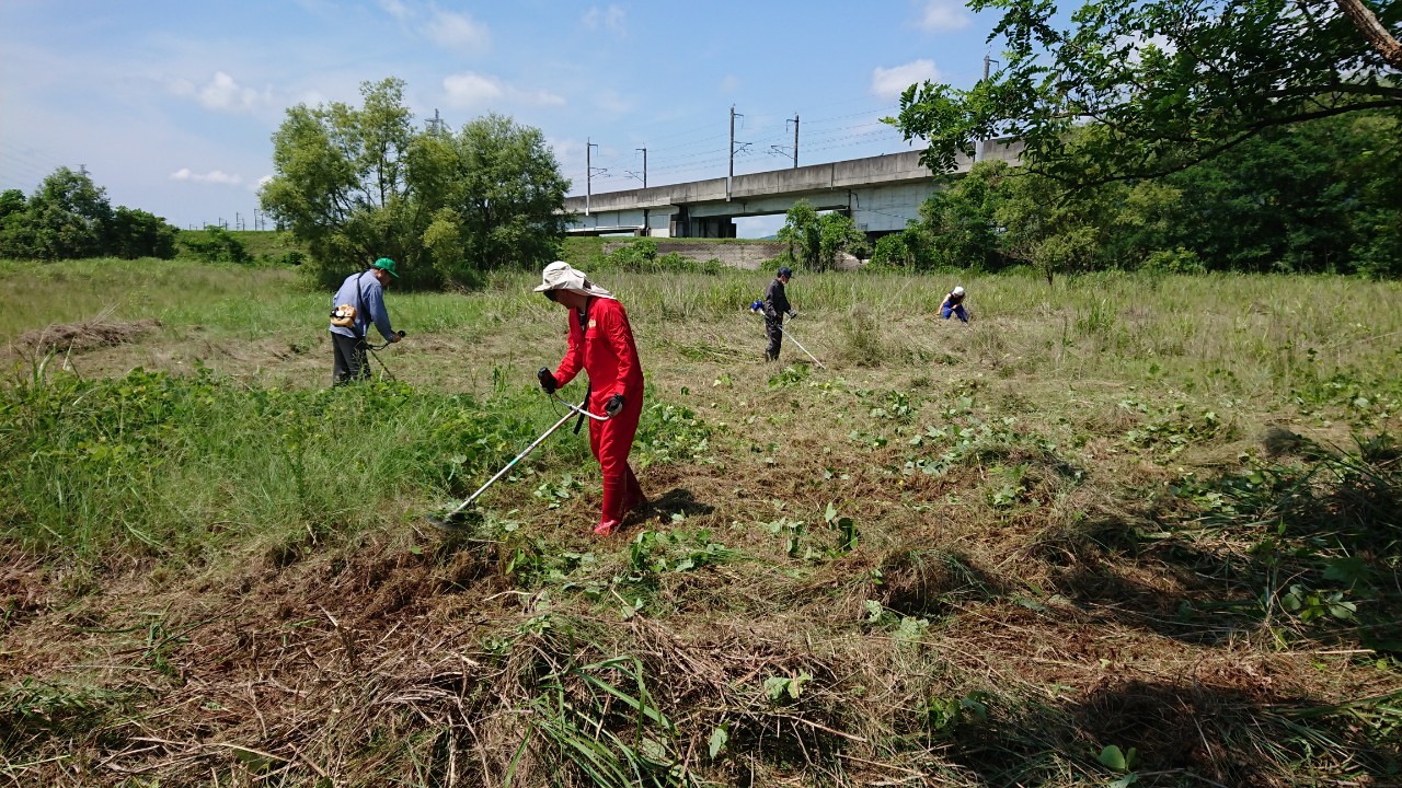 「しなだれバスターズ」による機械除草