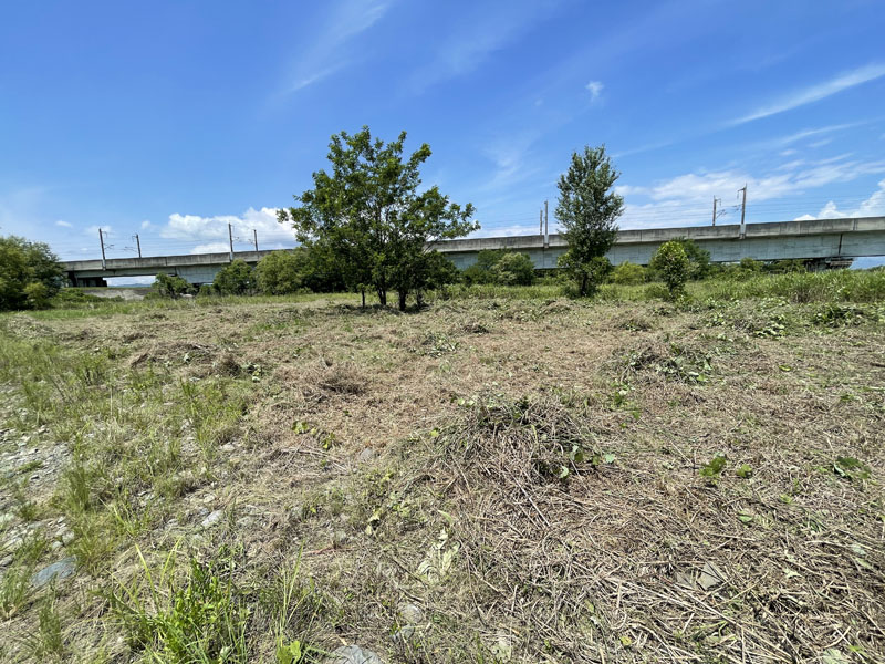 機械除草実施後の様子