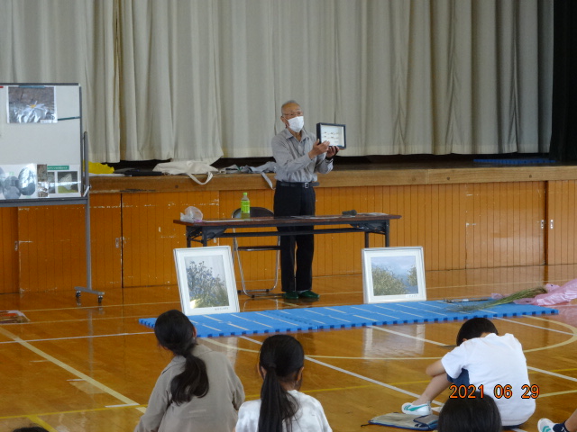 シルビアシジミの標本を見せる
