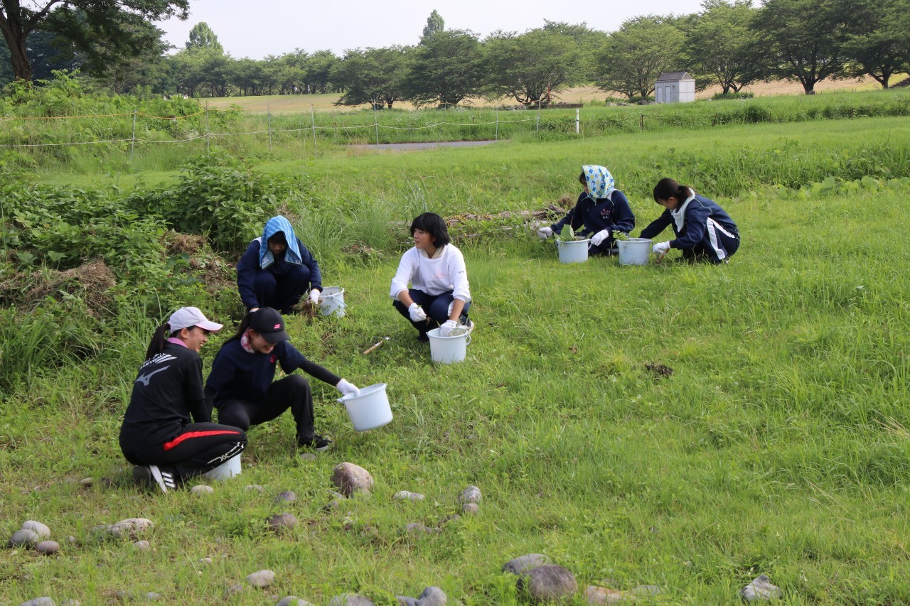 除草を頑張る高校生