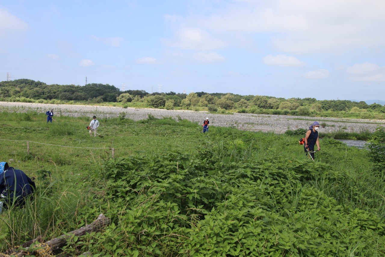 「バスターズ」による機械除草