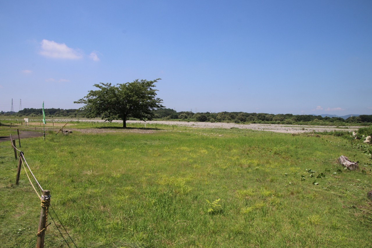 きれいに整備された第一管理地