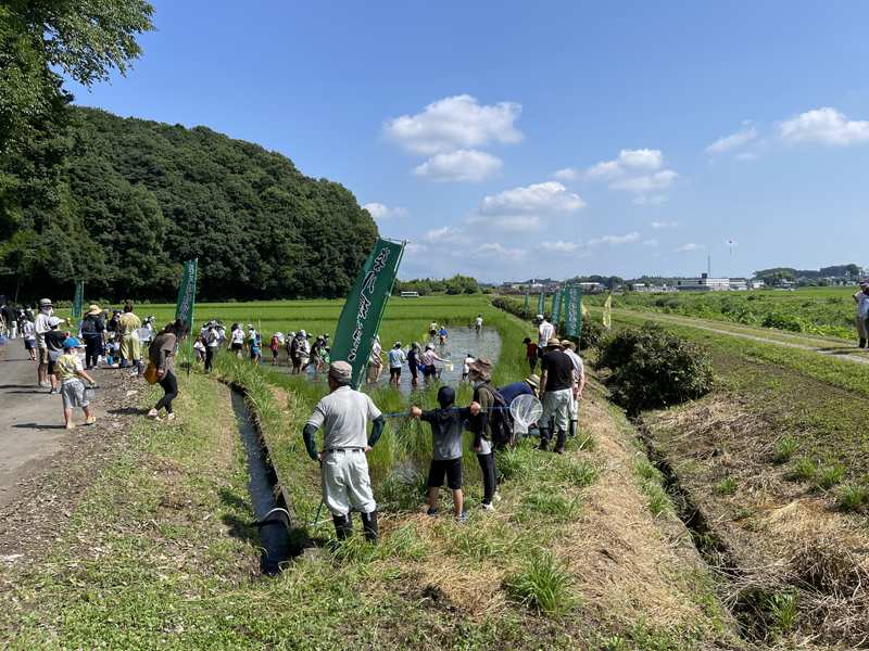 田んぼに入る参加者