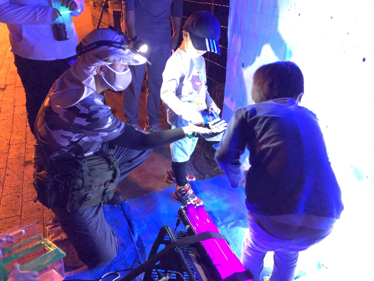 飛来した昆虫を捕獲する参加者