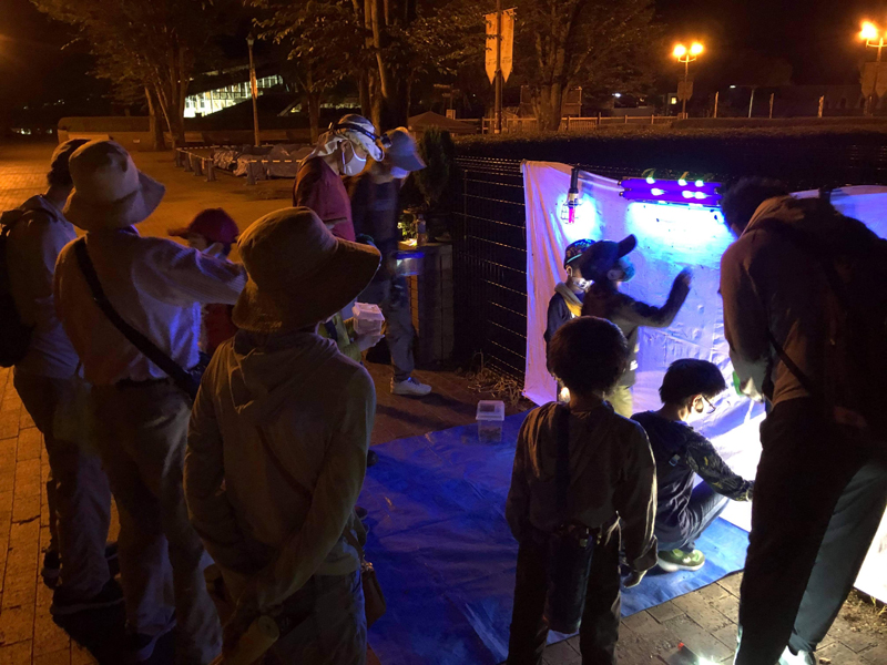 ﾄﾗｯﾌﾟで熱心に採集する参加者