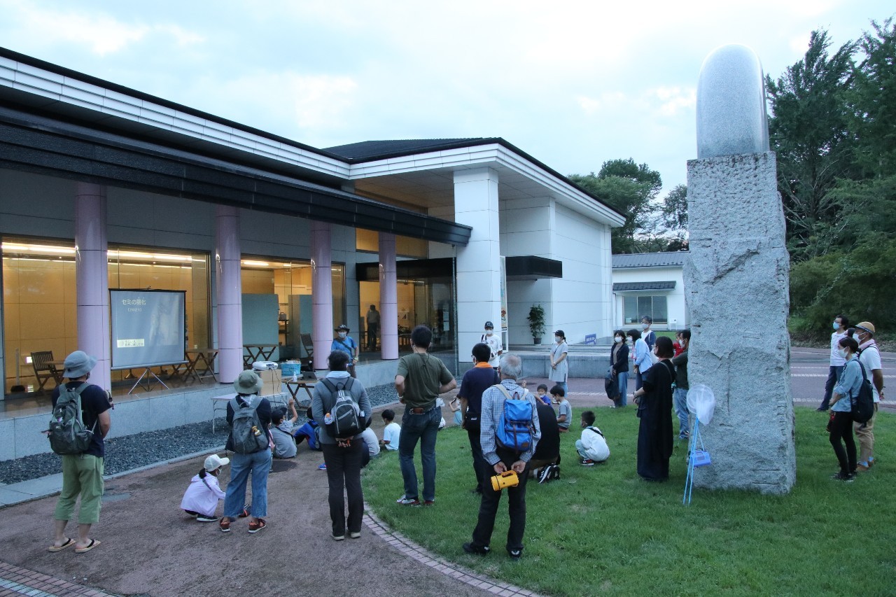 開会とセミの生態の解説