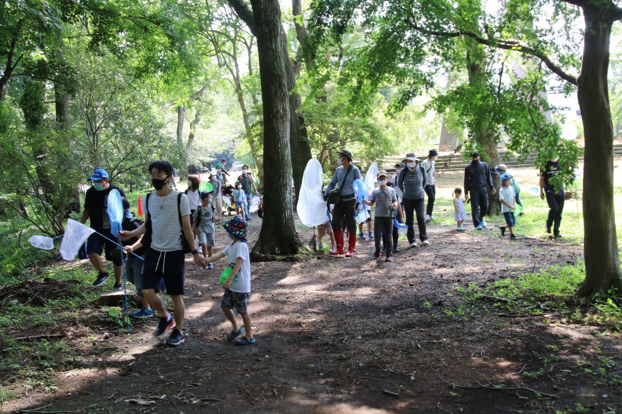 林内を移動しながら生き物探し