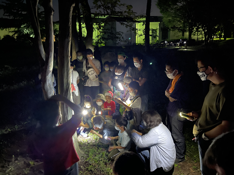 羽化を観察する参加者