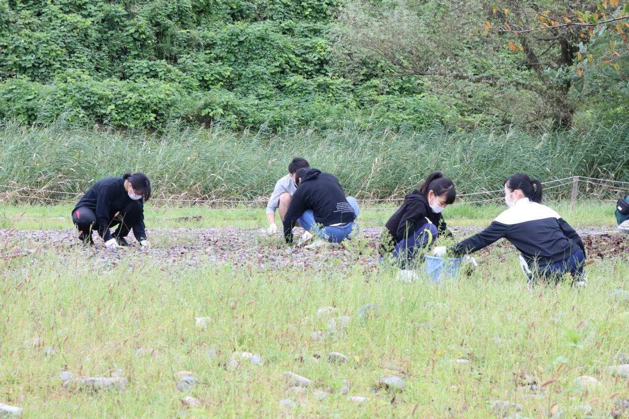 ﾎﾞﾗﾝﾃｨｱの皆さんが真剣に除草