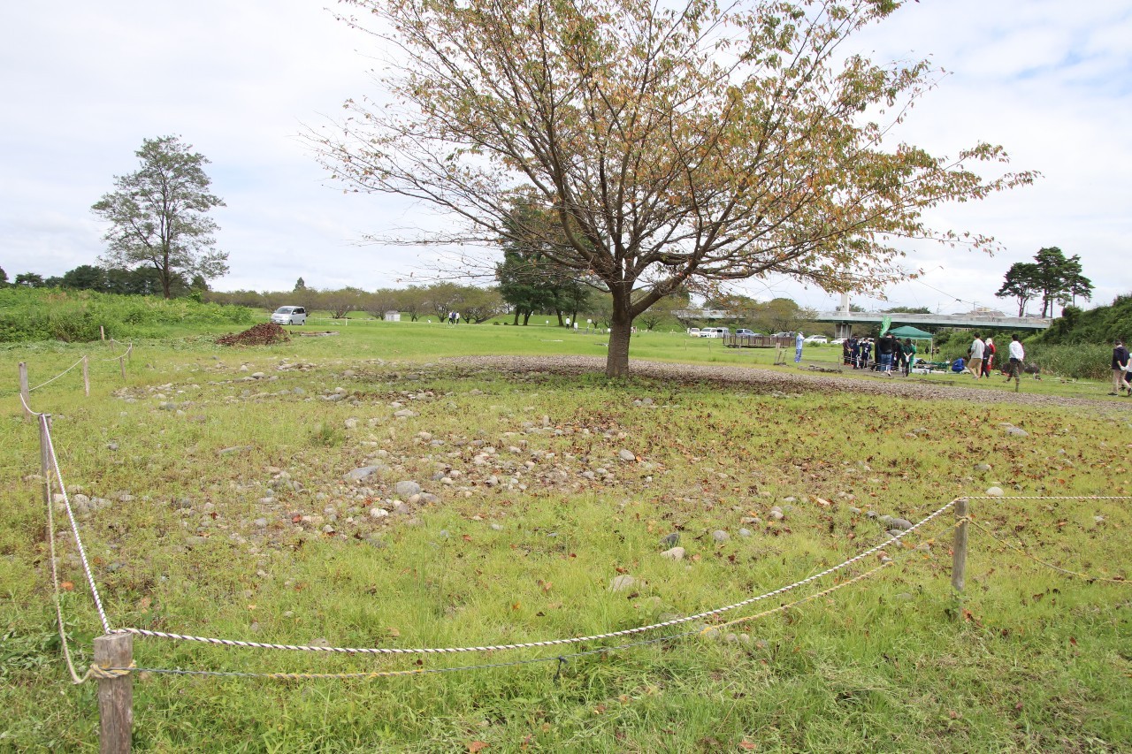 きれいになった保全地