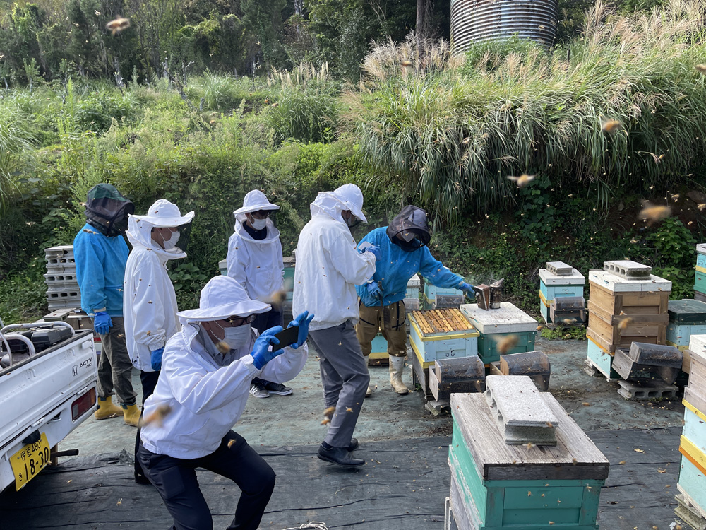 蜂場の様子を視察