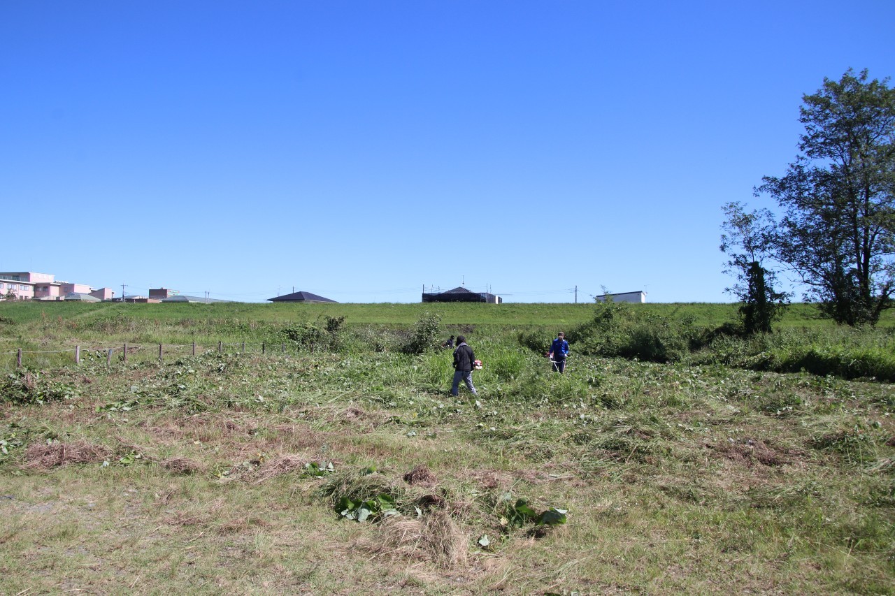 広範囲を一気に刈払う