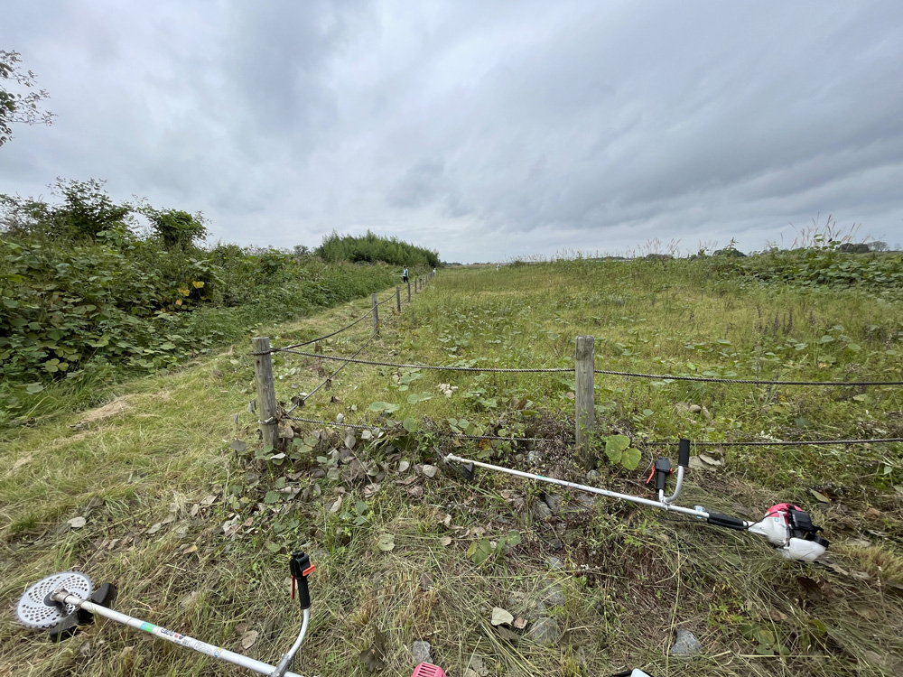 実施前の保全地の状況