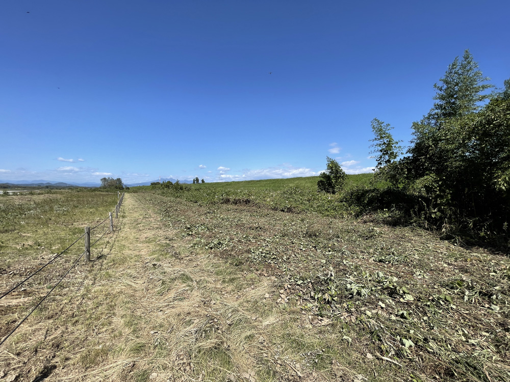 きれいになった保全地の周辺