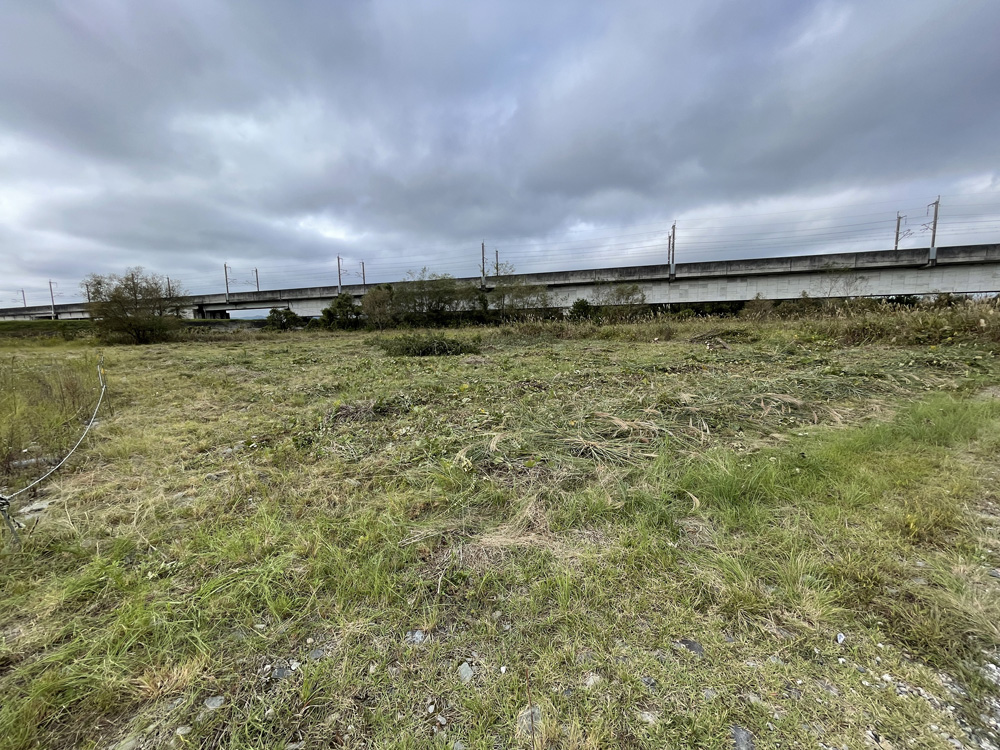 除草とハリエンジュの除去後