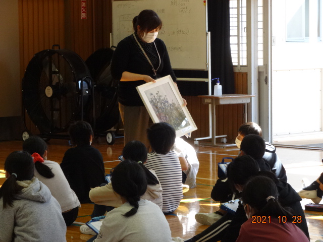 松本先生がｶﾜﾗﾉｷﾞｸの標本を見せる