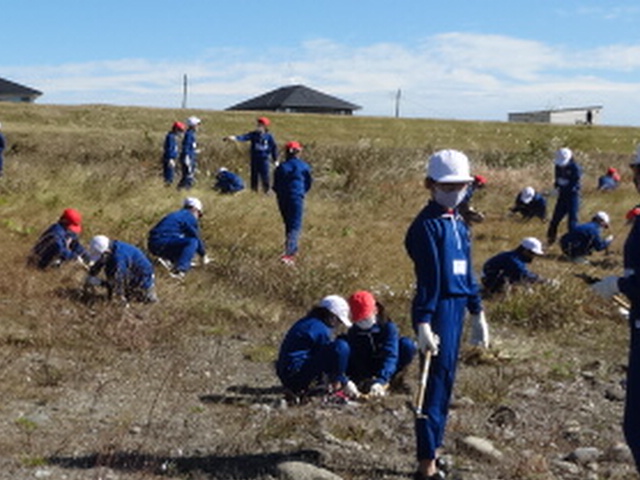 除草作業する児童たち