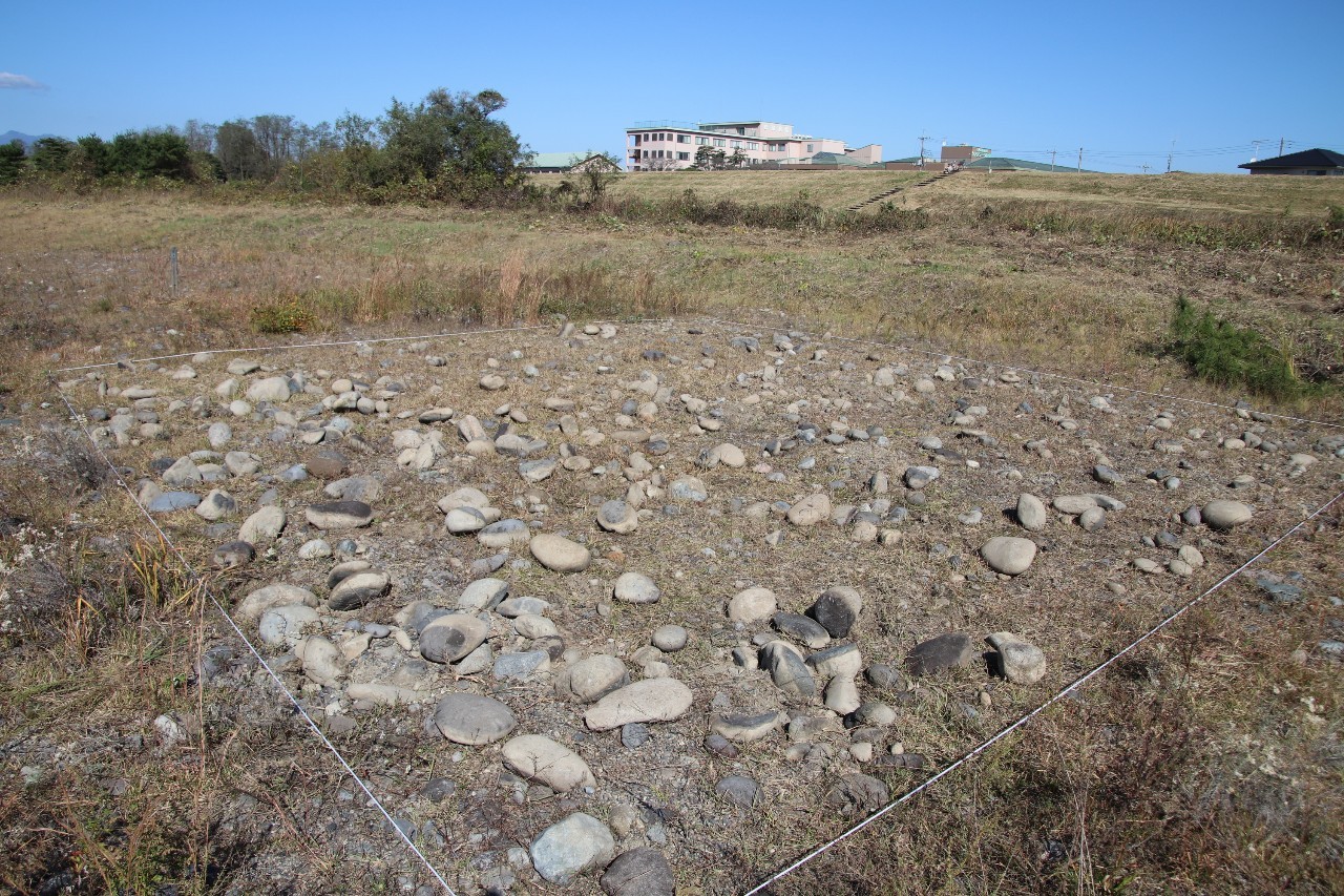 最終的にｶﾜﾗﾉｷﾞｸの種を播き、終了