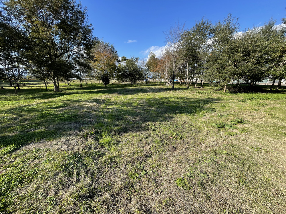 ビオトープ設置個所の全景