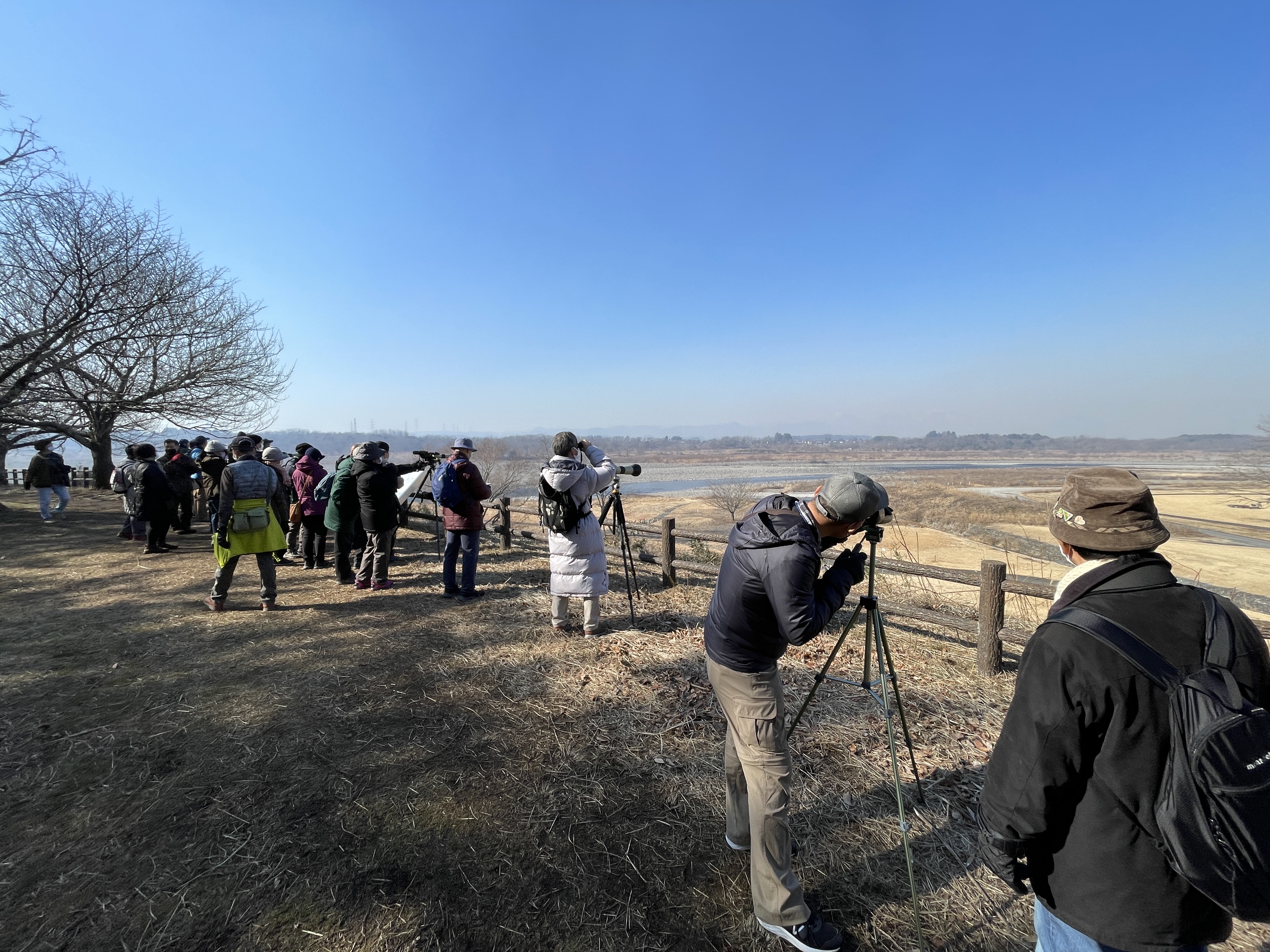 勝山城址の見晴し周辺での探鳥