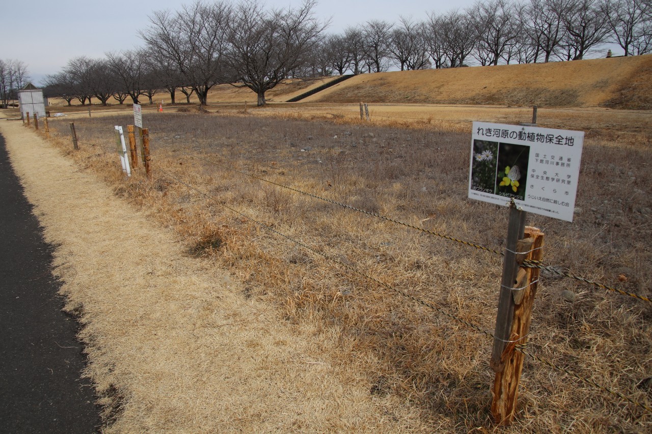 完成した保全地の柵