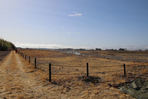 除草実施前の保全地