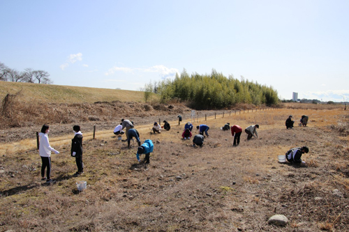 参加者は散らばって除草に専念